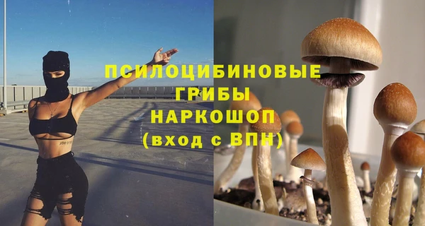 эйфоретик Арсеньев
