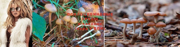 мдма Наволоки